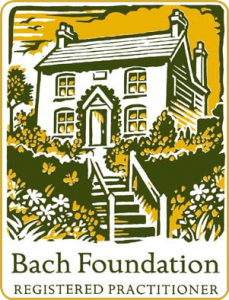 Bach-Foundation