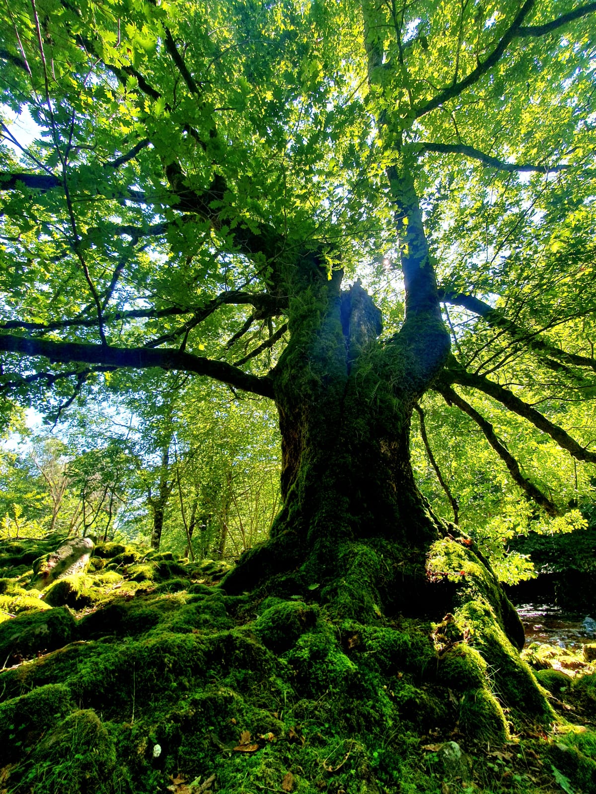 WhatsApp Image 2025-10-29 à 18.57.22_c1ba3363